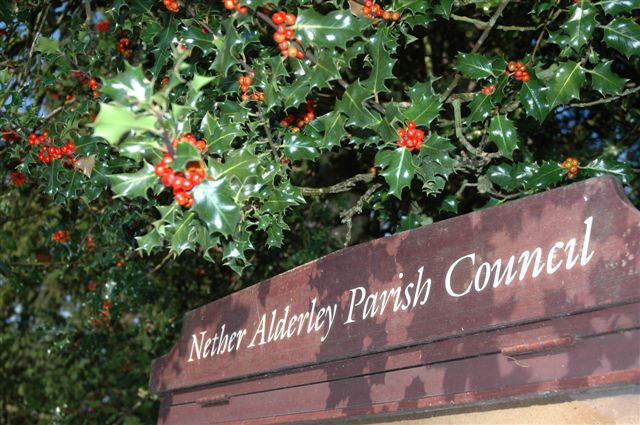 Nether Alderley Parish Council