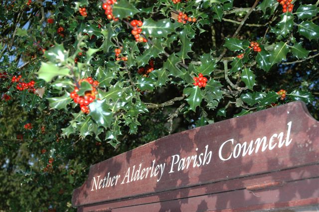 Nether Alderley Parish Council