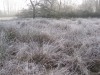 Nether Alderley | Church Fields