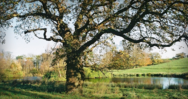 Hare Hill | Nether Alderley, Cheshire UK